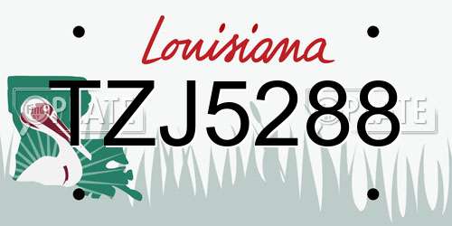 TZJ5288 Louisiana License Plate
