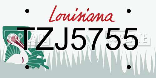 TZJ5755 Louisiana License Plate