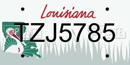 TZJ5785 Louisiana License Plate