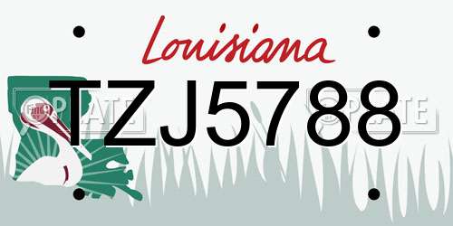 TZJ5788 Louisiana License Plate