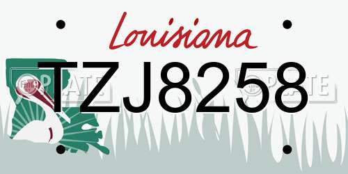 TZJ8258 Louisiana License Plate
