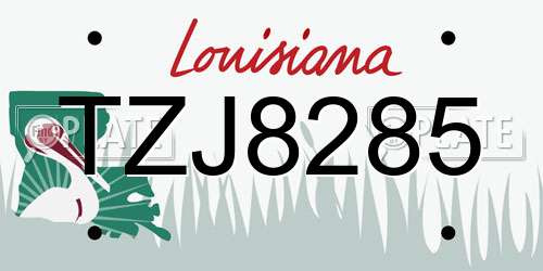 TZJ8285 Louisiana License Plate