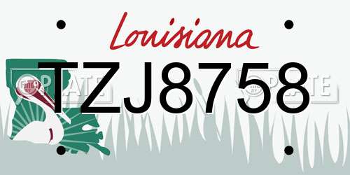 TZJ8758 Louisiana License Plate