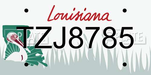 TZJ8785 Louisiana License Plate