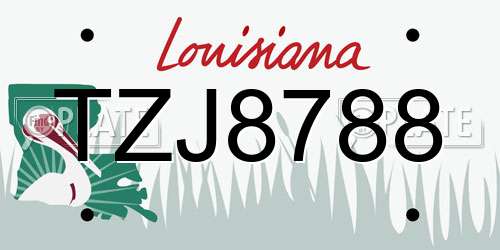TZJ8788 Louisiana License Plate