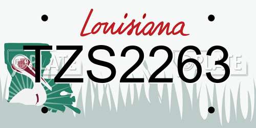 TZS2263 Louisiana License Plate
