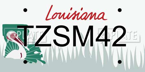 TZSM42 Louisiana License Plate