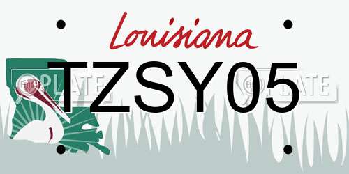 TZSY05 Louisiana License Plate