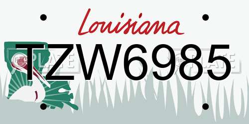 TZW6985 Louisiana License Plate