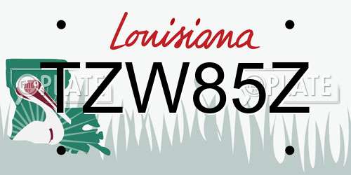 TZW85Z Louisiana License Plate