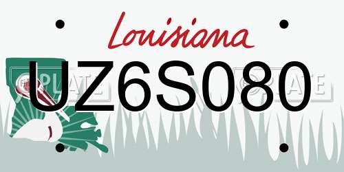 UZ6S080 Louisiana License Plate