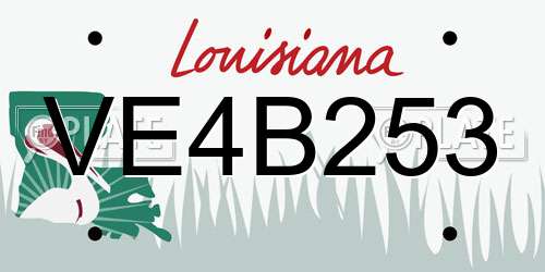 VE4B253 Louisiana License Plate