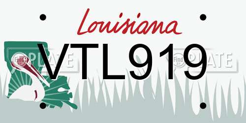 VTL919 Louisiana License Plate