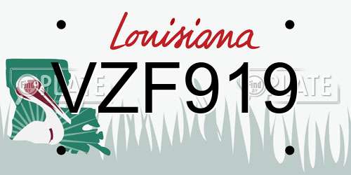VZF919 Louisiana License Plate