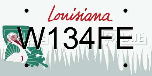 W134FE Louisiana License Plate