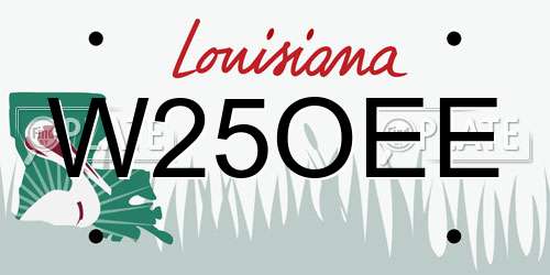 W25OEE Louisiana License Plate