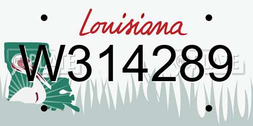 W314289 Louisiana License Plate