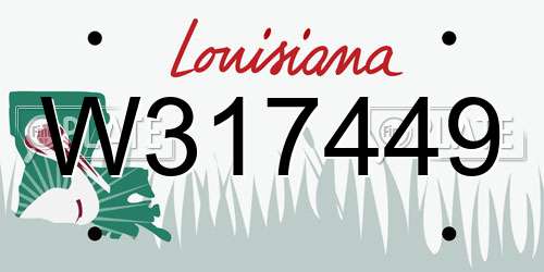 W317449 Louisiana License Plate