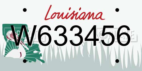 W633456 Louisiana License Plate
