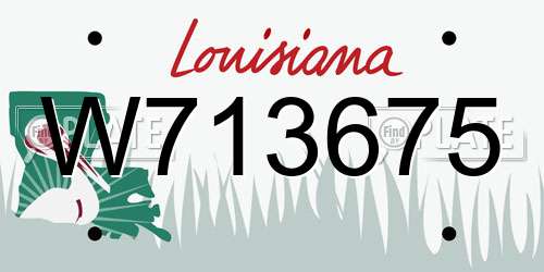 W713675 Louisiana License Plate