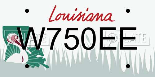 W750EE Louisiana License Plate
