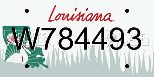 W784493 Louisiana License Plate