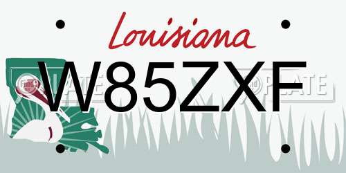W85ZXF Louisiana License Plate