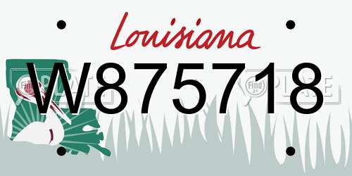 W875718 Louisiana License Plate