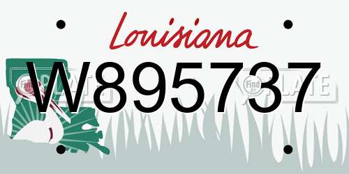 W895737 Louisiana License Plate