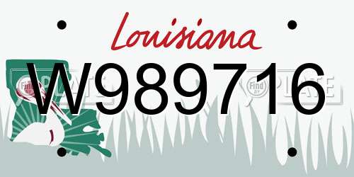 W989716 Louisiana License Plate