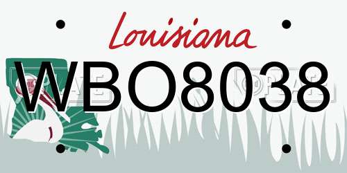 WBO8038 Louisiana License Plate