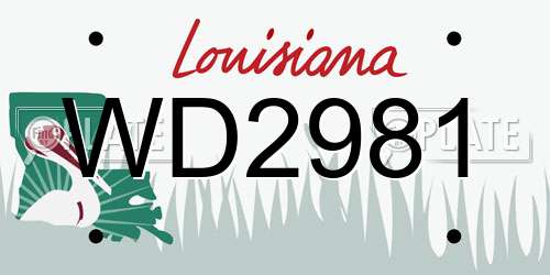 WD2981 Louisiana License Plate