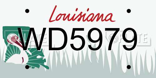WD5979 Louisiana License Plate