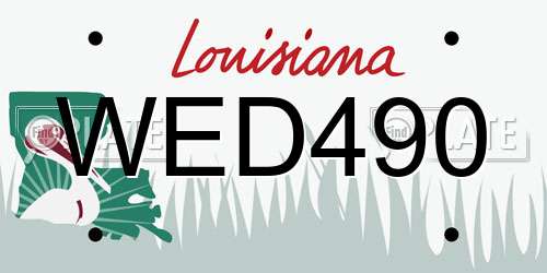 WED490 Louisiana License Plate