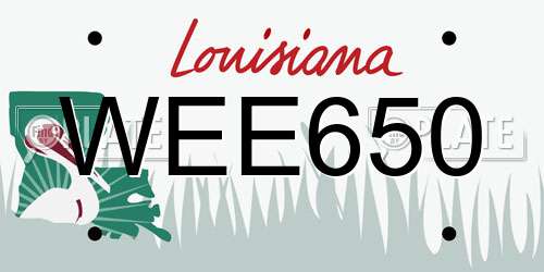 WEE650 Louisiana License Plate