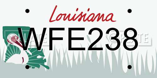 WFE238 Louisiana License Plate