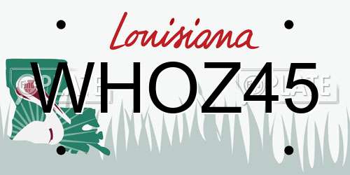 WHOZ45 Louisiana License Plate