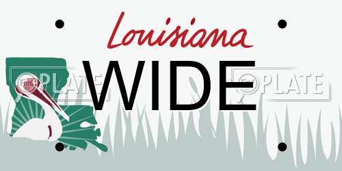 WIDE Louisiana License Plate