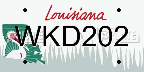 WKD202 Louisiana License Plate