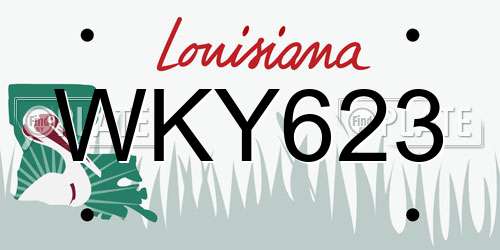 WKY623 Louisiana License Plate