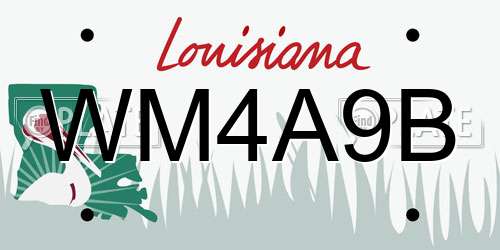 WM4A9B Louisiana License Plate