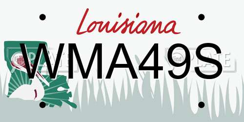 WMA49S Louisiana License Plate