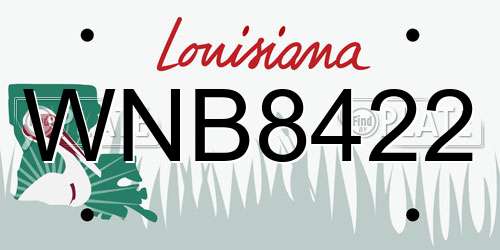 WNB8422 Louisiana License Plate