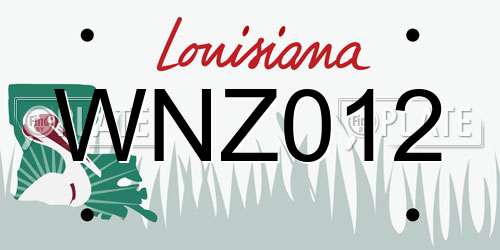 WNZ012 Louisiana License Plate