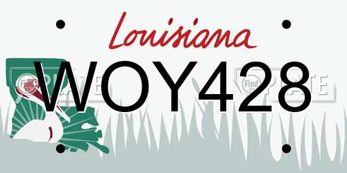 WOY428 Louisiana License Plate