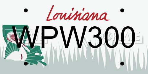 WPW300 Louisiana License Plate