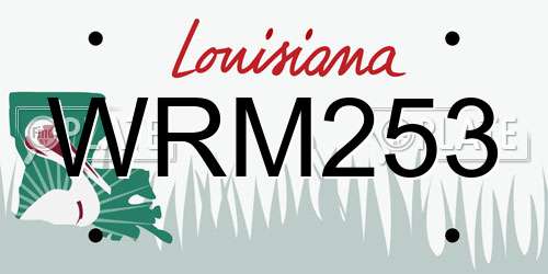 WRM253 Louisiana License Plate