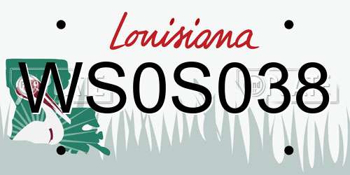 WS0S038 Louisiana License Plate