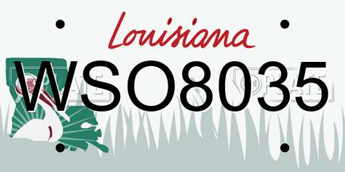WSO8035 Louisiana License Plate