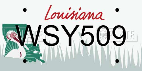 WSY509 Louisiana License Plate